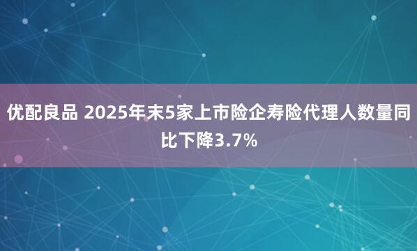 优配良品 2025年末5家上市险企寿险代理人数量同比下降3.7%